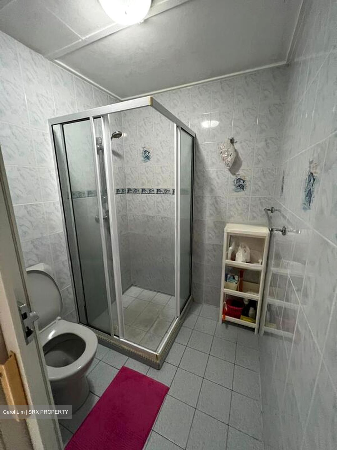 Ridgewood (D10), Condominium #449131841